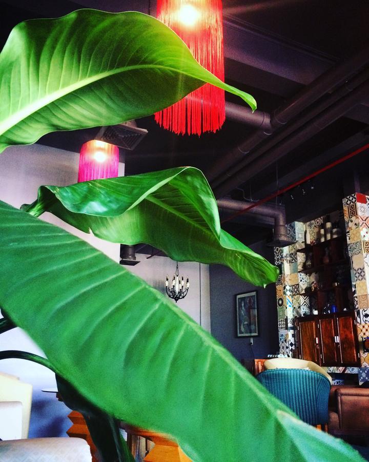 Geminai Hotel & Cafe Dong Hoi Dış mekan fotoğraf